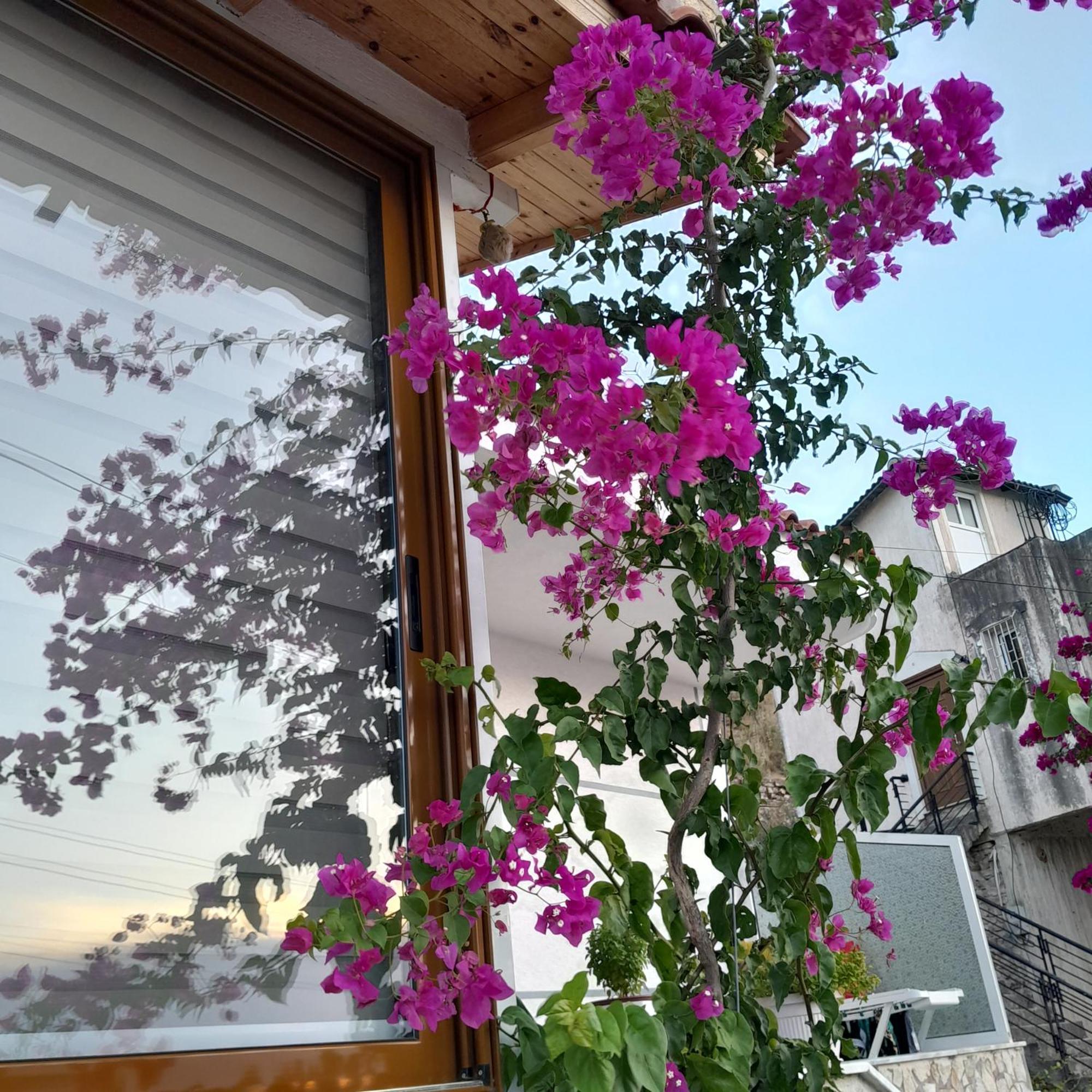 Denni'S Home Sarandë Buitenkant foto