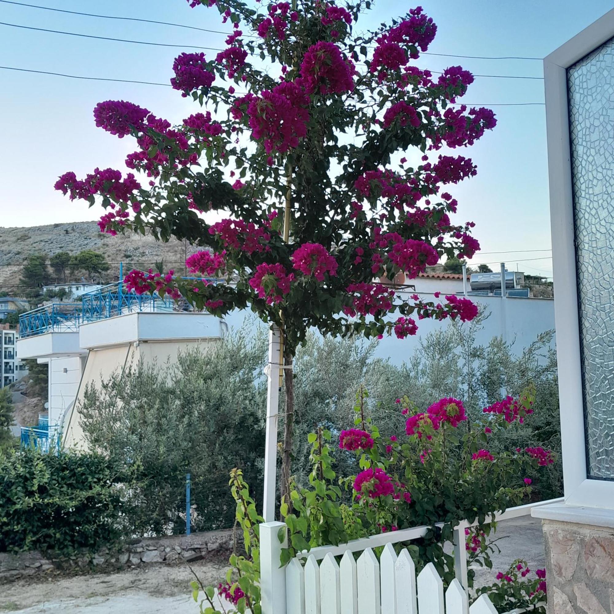 Denni'S Home Sarandë Buitenkant foto
