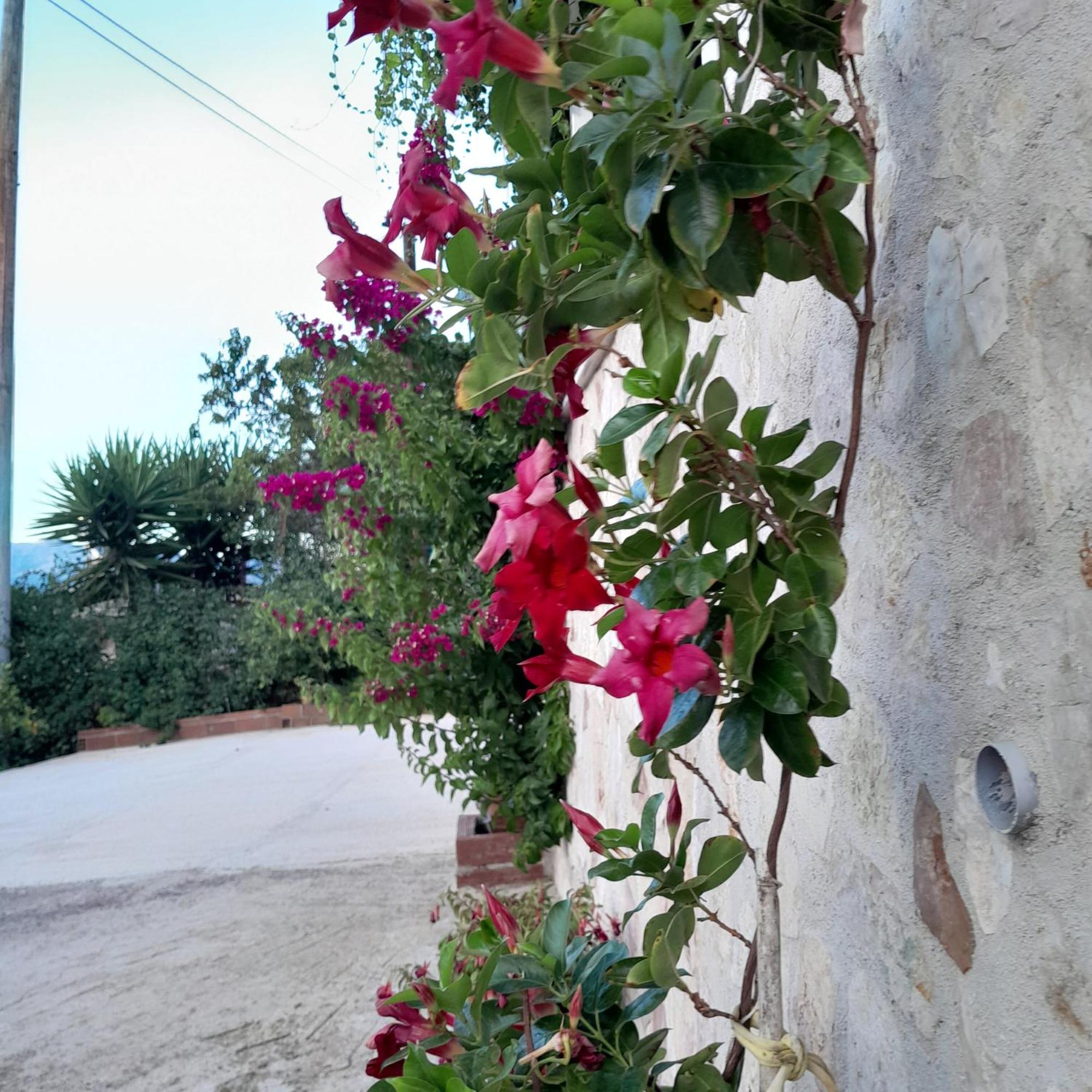 Denni'S Home Sarandë Buitenkant foto